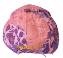 Brella® Purple Rose Unisex Waterproof Hat | All-Weather Protection