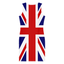 Union Jack Fitted Dress